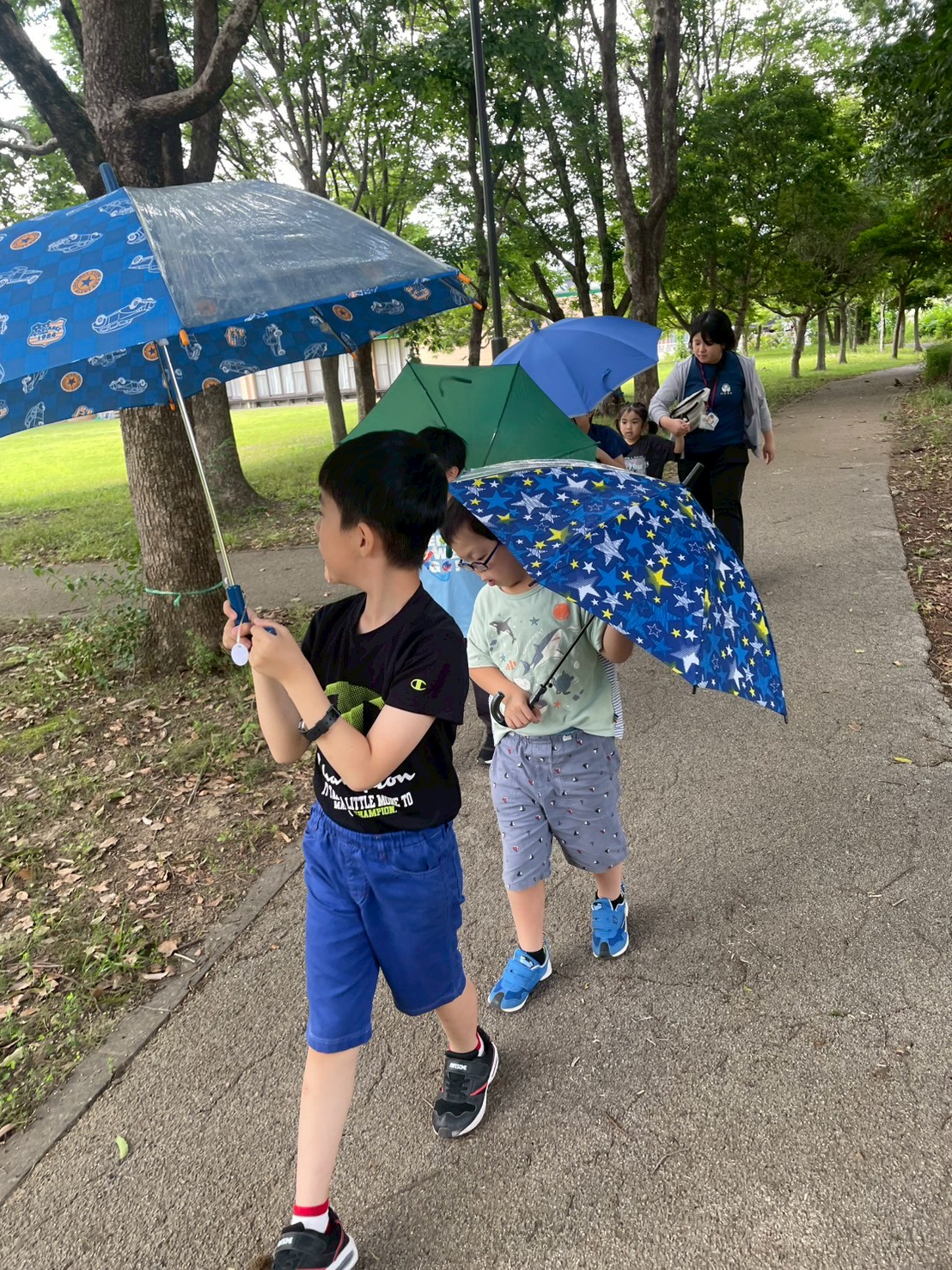 🐸6月の様子🐸～ジュニア～