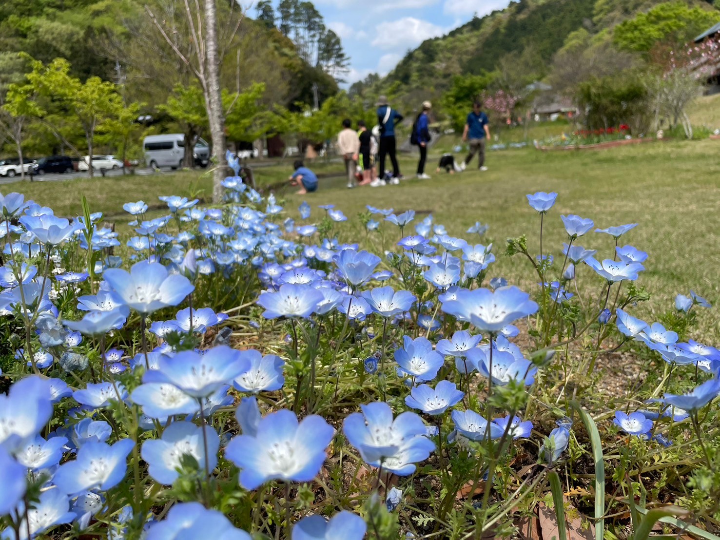 行楽日和🌸🌹～浜北教室～