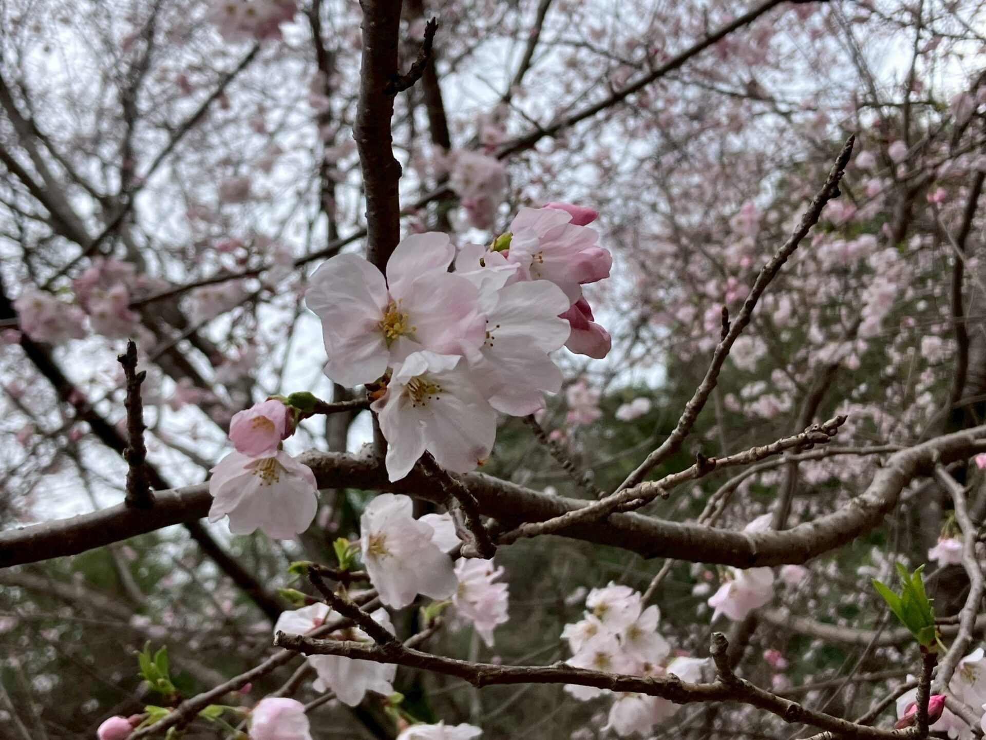 🌸３月の様子🌸～サポート～