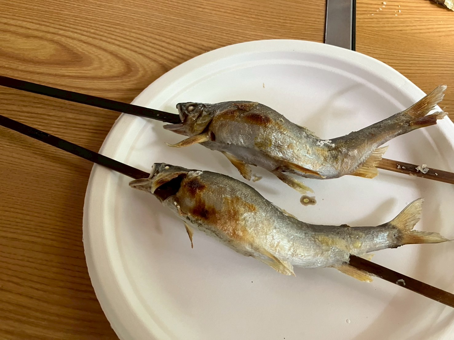🐟鮎のつかみ取り🐟 🐟鮎のつかみ取り🐟